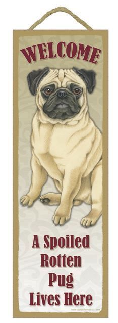 Spoiled Rotten Pug Tan Lives Here Sign 5/" x 15/" Plaque Gift pet dog