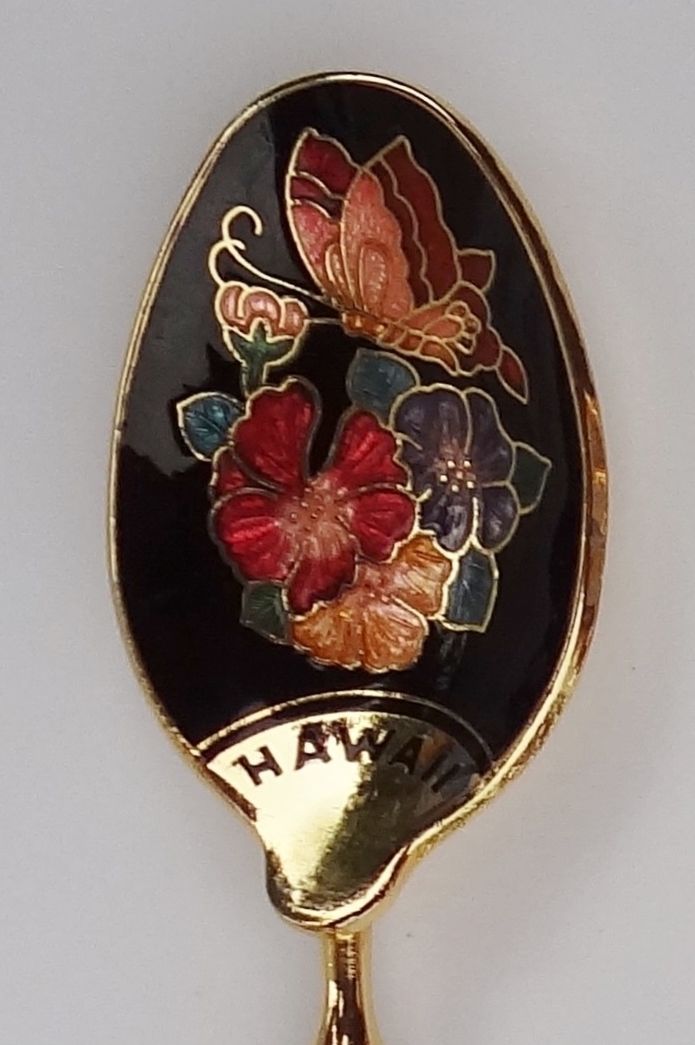Collector Souvenir Spoon USA Hawaii Cloisonne Bowl Butterfly Flowers
