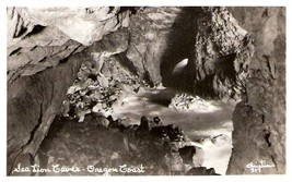 Sea Lion Caves Oregon Rppc   Christian #317 - $14.75