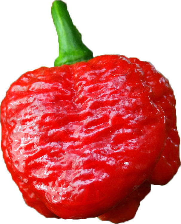 ghost reaper pepper