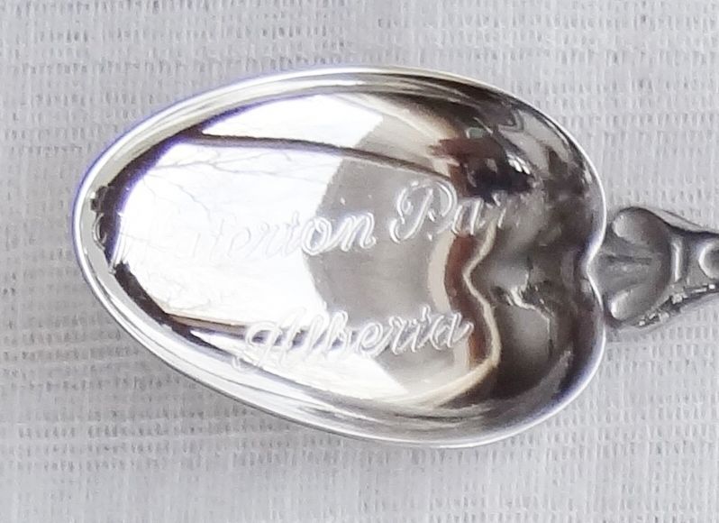 Collector Souvenir Spoon Canada Alberta Waterton Park Lodge