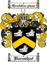 Burnshed Family Crest / Coat of Arms JPG or PDF Image Download