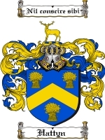 Hattyn Family Crest / Coat of Arms JPG or PDF Image Download