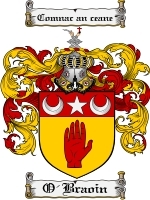 O'Braoin Family Crest / Coat of Arms JPG or PDF Image Download