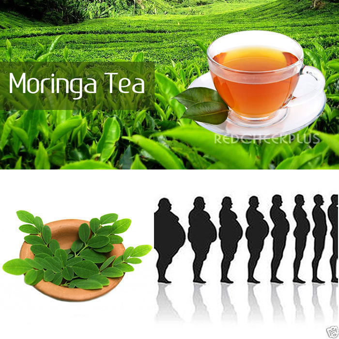 Pure Moringa Oleifera Leaf Tea Appetite Suppressant Weight Loss Control