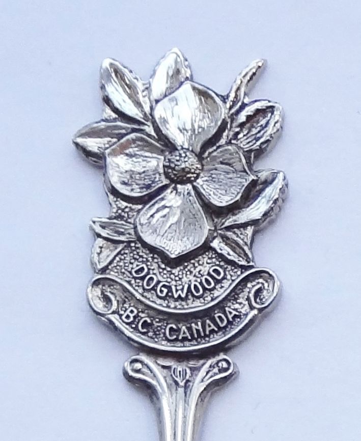 Collector Souvenir Spoon Canada BC Victoria Dogwood Flower Emblem - Spoons