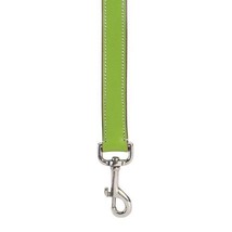 Casual Canine 1-Inch Flat Leather Dog Lead, Parrot Green [Misc.] - $15.95