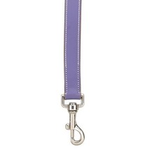 Casual Canine Flat LeaTher Dog Lead, 5/8-Inch, Ultra Violet [Misc.] - $14.95