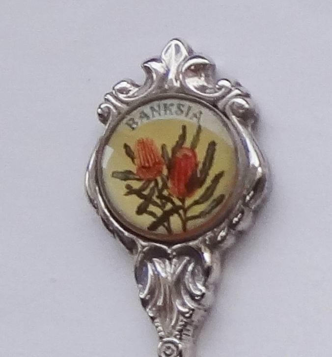 Collector Souvenir Spoon Australia Banksia Flower - Spoons