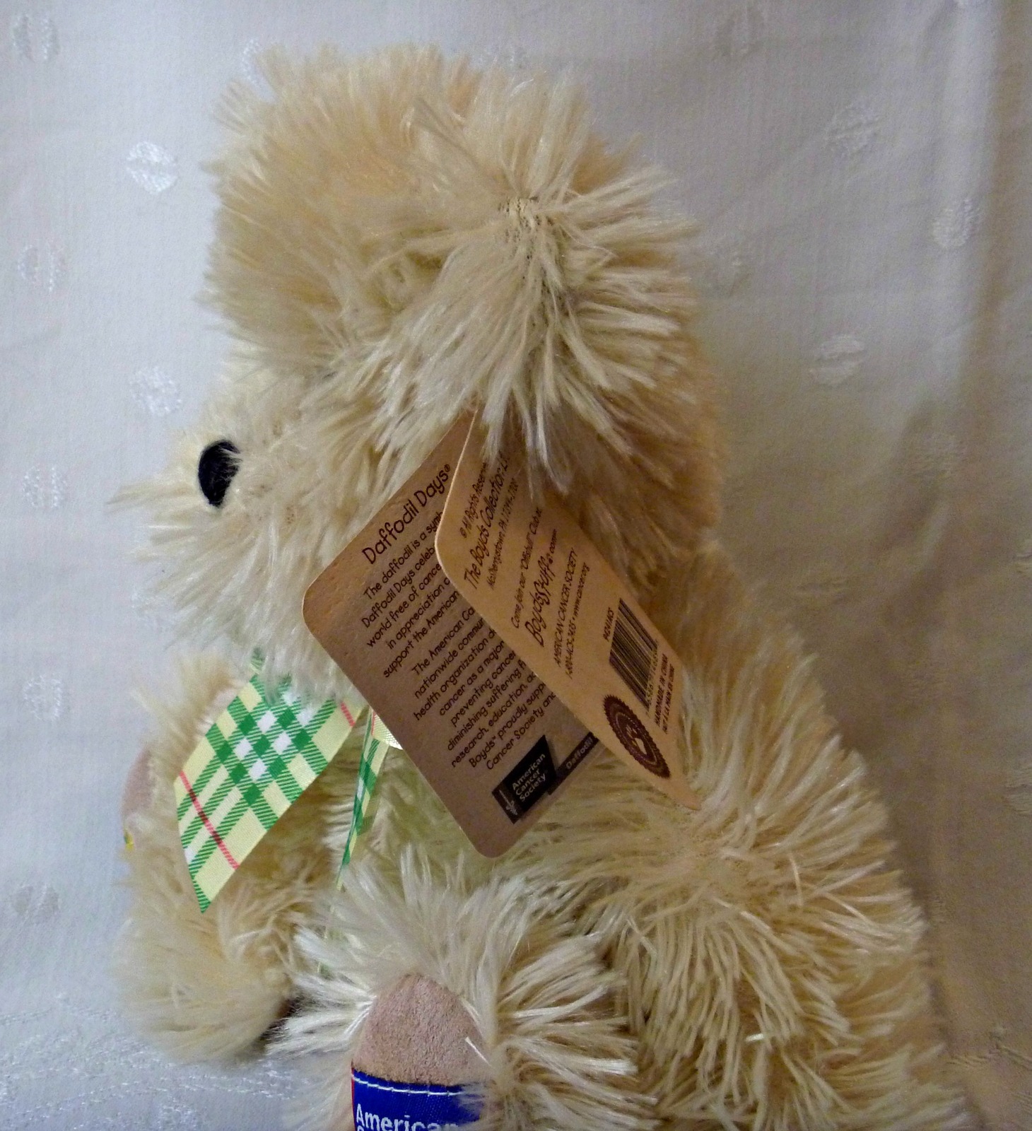 daffodil teddy bear