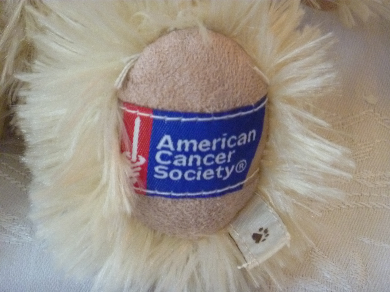 Boyds Bear Daffodil Days American Cancer Society Special Edition