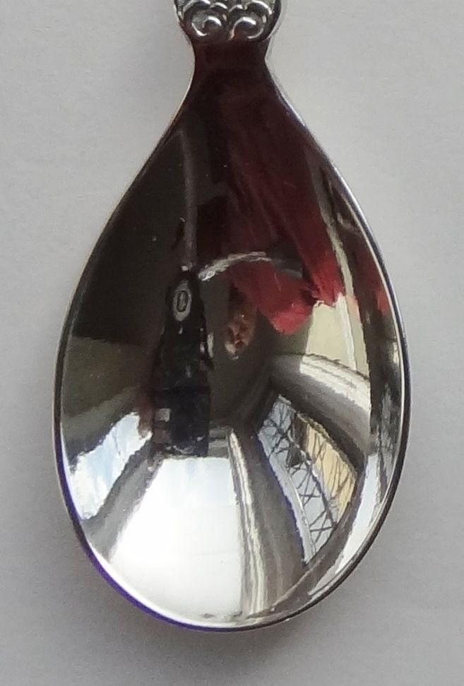 Collector Souvenir Spoon Canada BC Kelowna Ogopogo Decorative