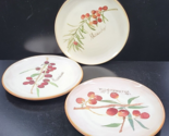 3 Crate &amp; Barrel Olive Themed Appetizer Plates Mix Set Ceramic Dishes It... - $36.60