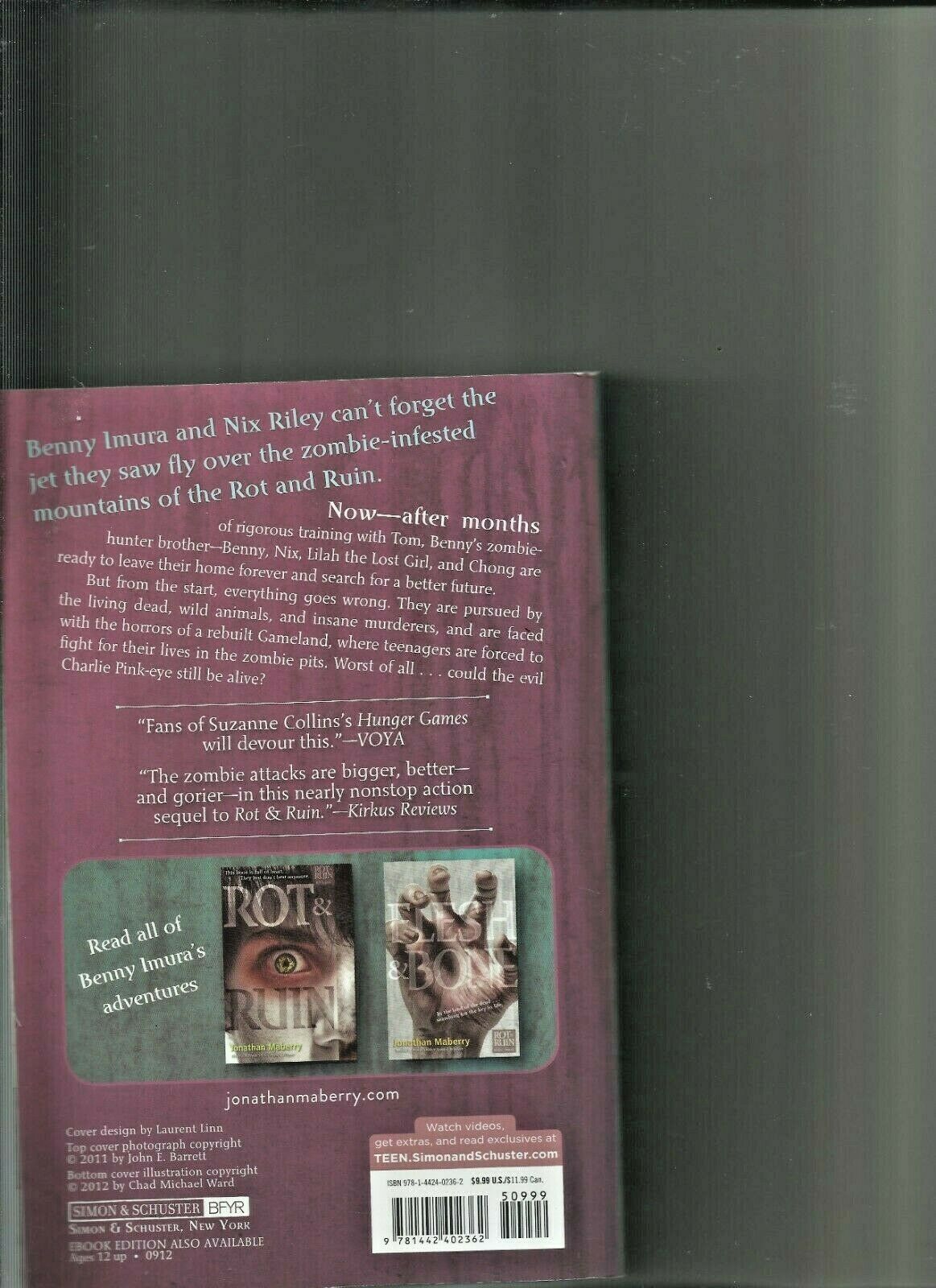 Dust and Decay by Jonathan Maberry Book 2 Zombie fiction Fiction