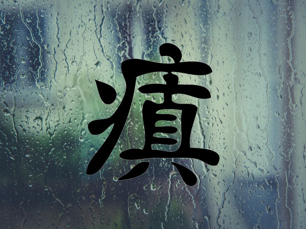 Insane Kanji Symbol Die Cut Vinyl Decal Sticker - Decals, Stickers ...