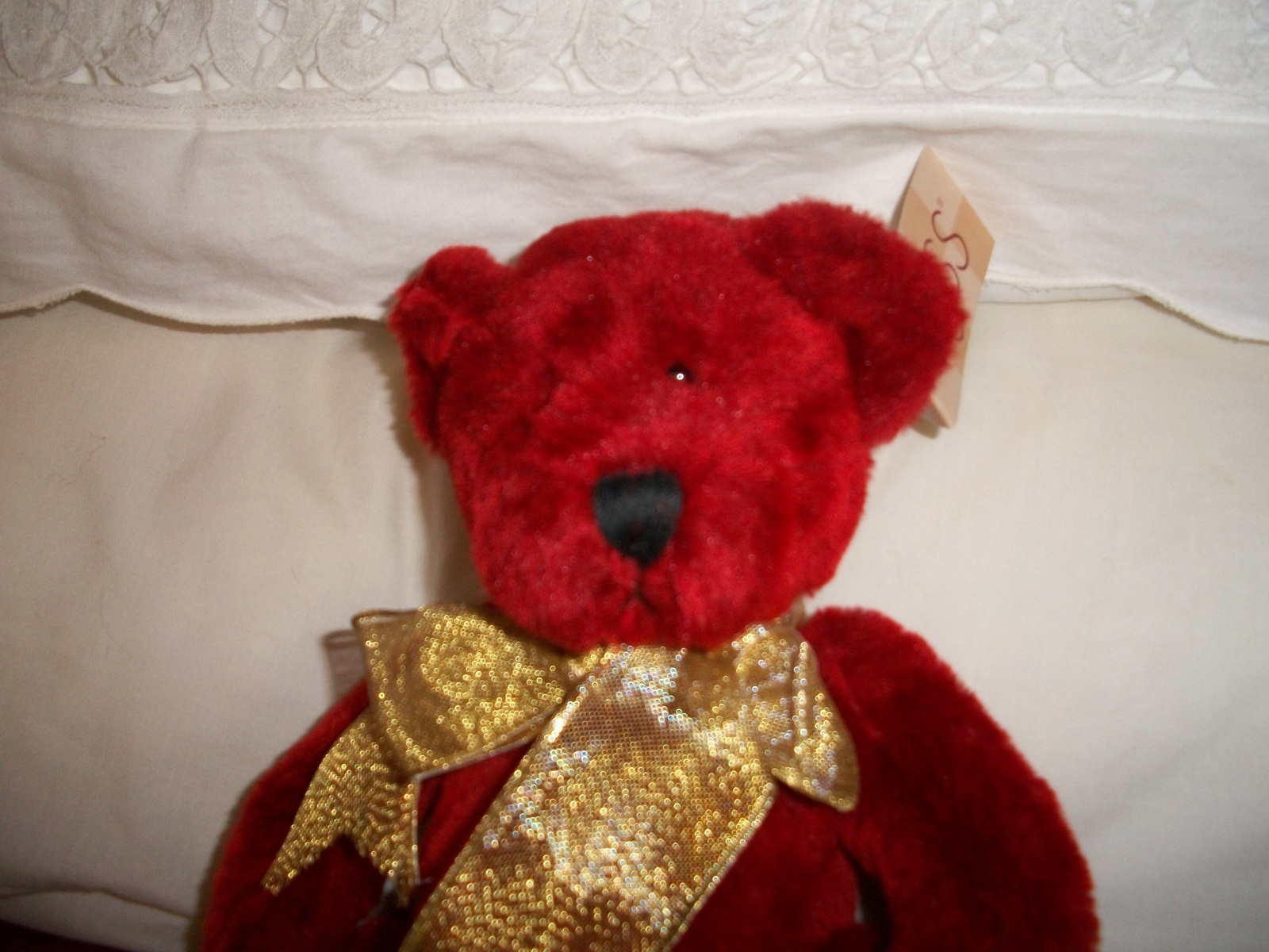 maroon color teddy bear