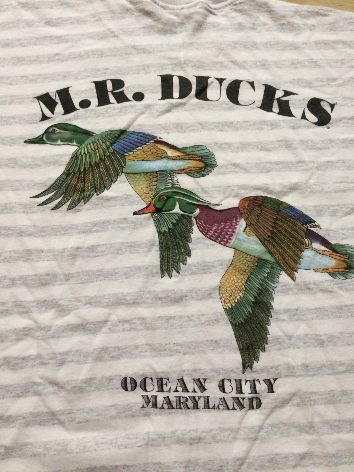 em r ducks shirt