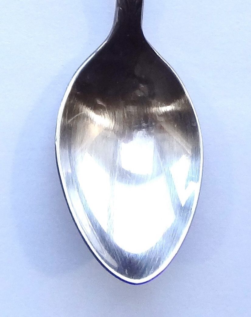 Collector Souvenir Spoon Canada Manitoba Gillam Home of the Trapper's