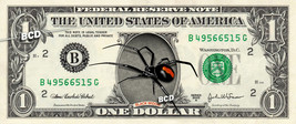 Black widow spider thumb200