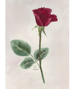 &quot;October Rose,&quot; an A. Rose Designs (tm) note card - $5.95+