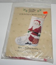 Something Special Counted Cross Stitch Santa on Rooftop Stocking - $29.99
