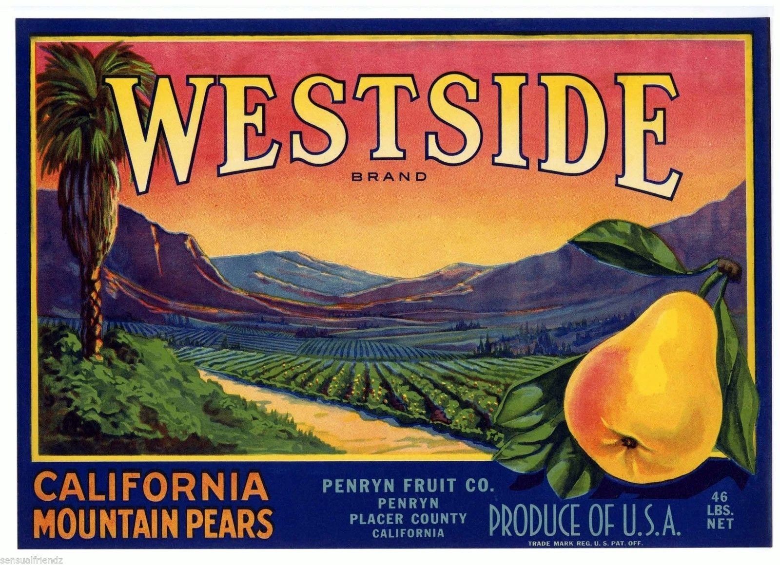 Los Angeles California Garden Fruit Crate Label Art Print Glen rosa Orchards