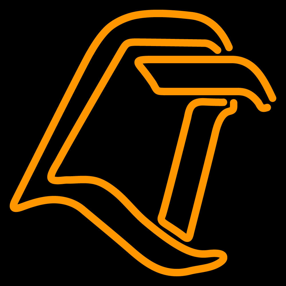 NCAA Bowling Green Falcons Logo Neon Sign - Neon