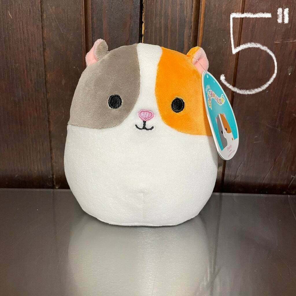 NWT Squishmallow Everett Guinea Pig Hamster Gerbil 5" Other