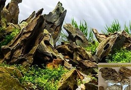 Dragon stone aquarium ph