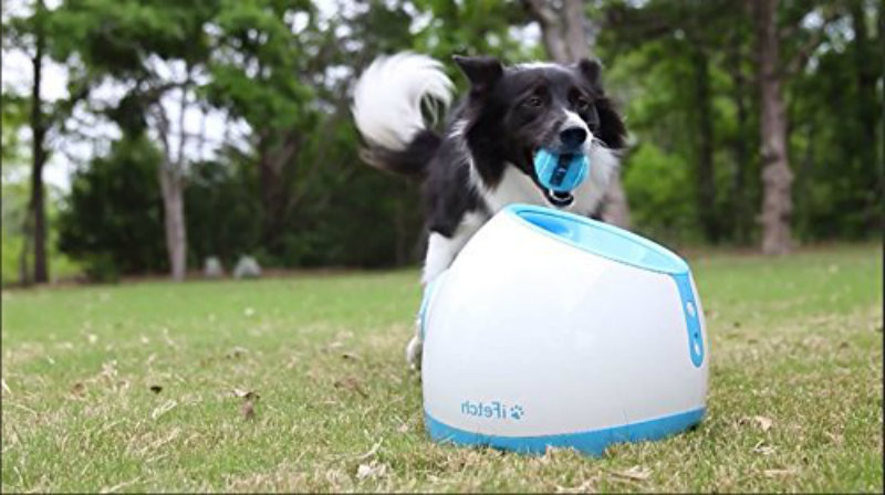 Dog Toy Interactive Ball Thrower for Large Dogs Launches