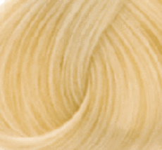 Goldwell Topchic 9NA Very Light Natural Ash Blonde 2.1 oz - $9.99