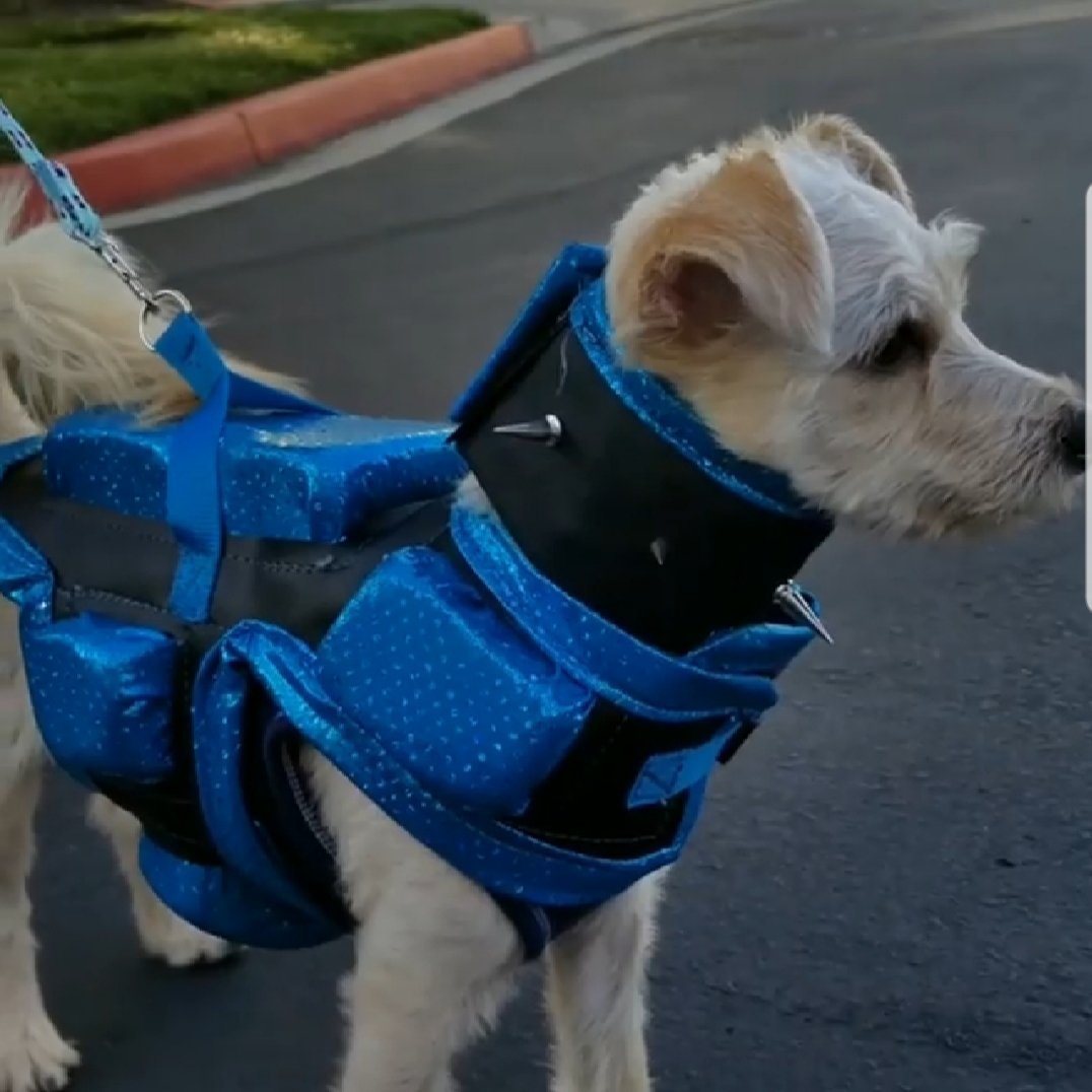 Copy of Hawk and Coyote Deterrent Vest for Dogs (WITHOUT SPIKES