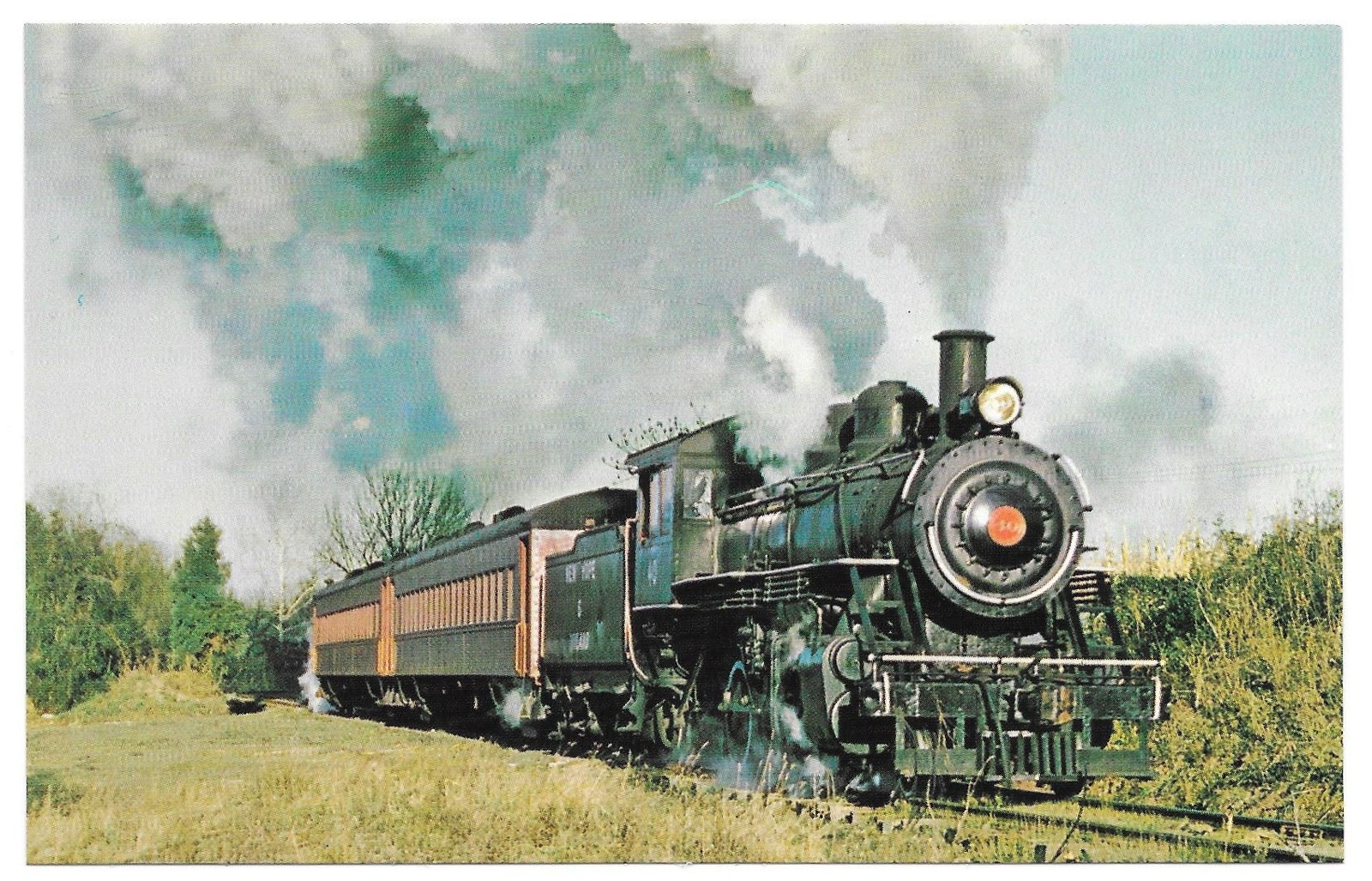 New steam railway фото 1