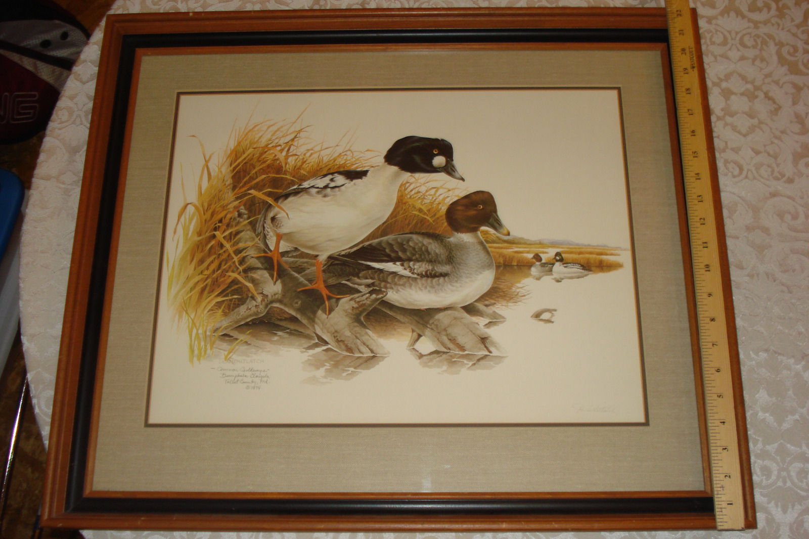 Don Whitlatch Common Goldeneye Duck Print Signed Beautifully Framed ...