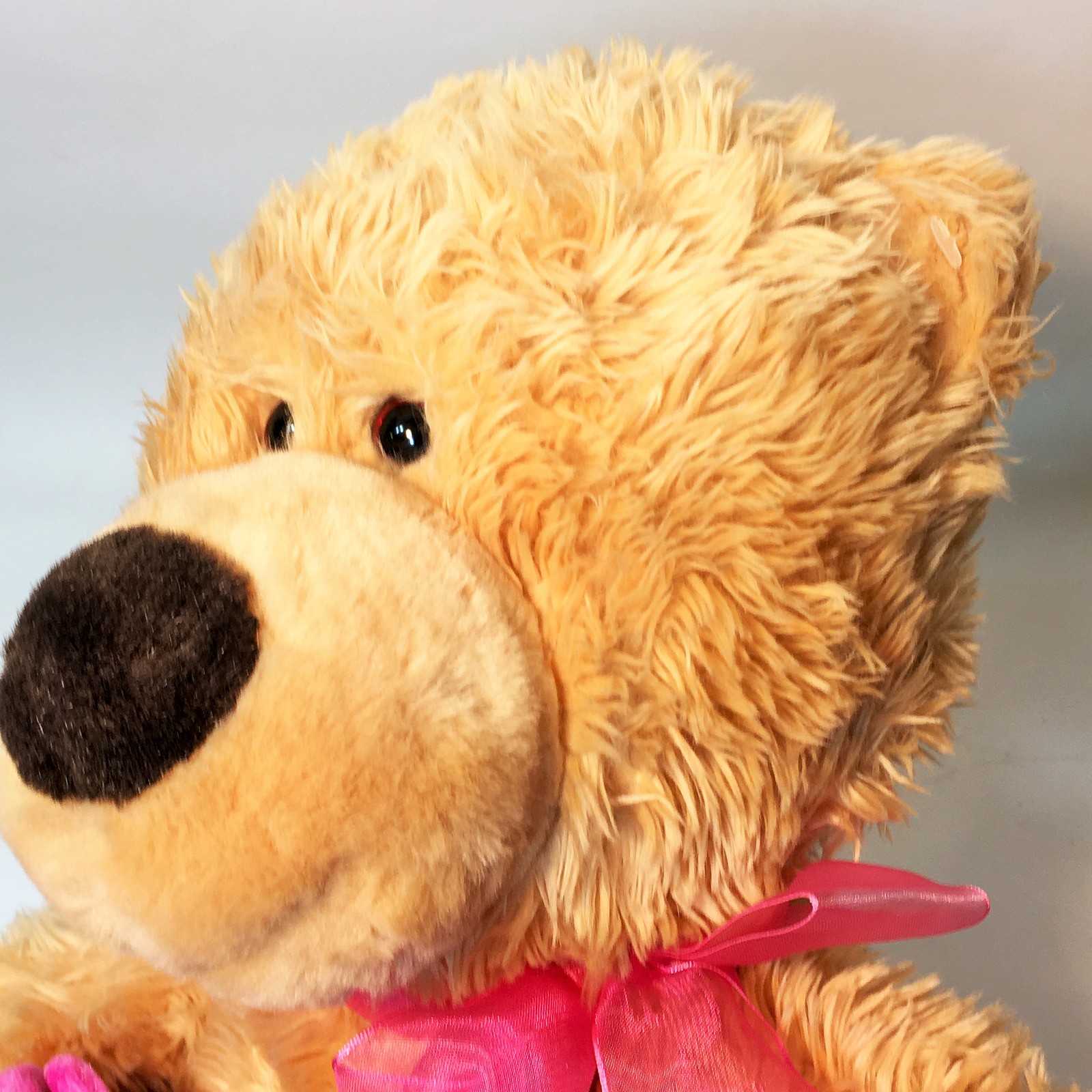 gund teddy