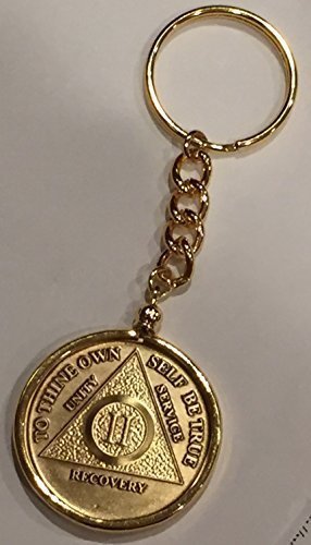AA Medallion Keychain Sobriety Chip Holder 18k Gold Plated Key Chain by Recov...