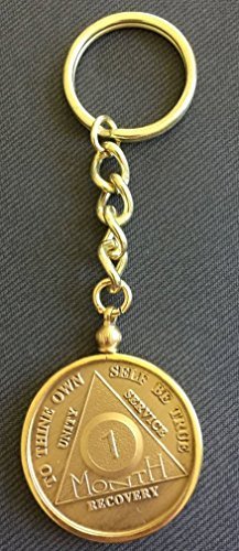 AA Alcoholics Anonymous Medallion Chip Holder Key Chain Keychain Goldtone
