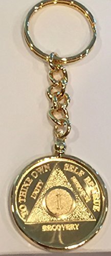 1 Year 24k Gold Plated AA Medallion In Keychain Removable Sobriety Chip Holder