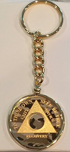 Camo Gold Plated Any Year 1 - 65 AA Medallion In Keychain Removable Sobriety ...