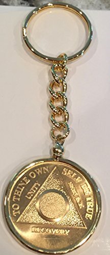 Plain Face 24k Gold Plated AA Medallion In Keychain Removable Sobriety Chip H...
