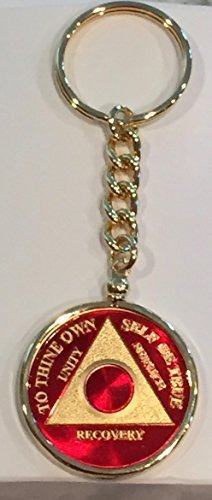 Any Year 1 - 65 Red Gold Plated AA Medallion In Keychain Removable Sobriety C...