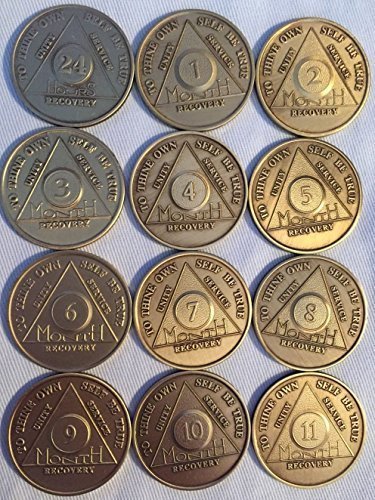 Set of 12 Monthly Bronze AA Alcoholics Anonymous Medallion Month 1 - 11 & 24h...