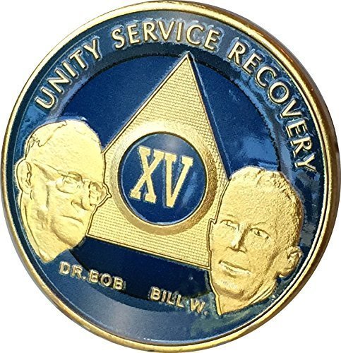 15 Year Ocean Breeze Blue Gold Plated AA Founders Medallion Sobriety Chip & V...