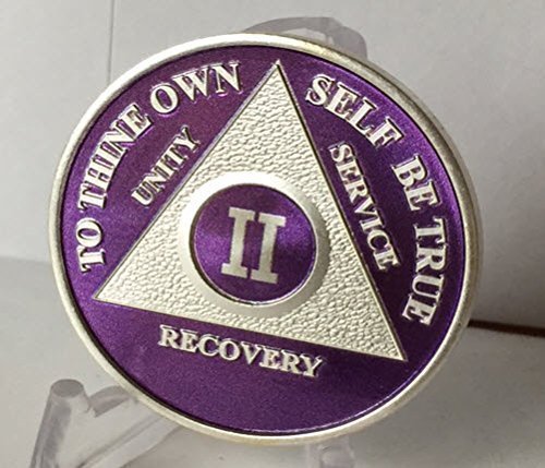 Purple & Silver Plated 2 Year AA Alcoholics Anonymous Medallion Chip Two Year...