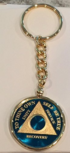 Blue Gold Plated Any Year 1 - 65 AA Medallion In Keychain Removable Sobriety ...