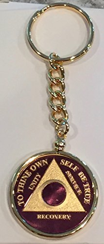 Purple Gold Plated Any Year 1 - 65 AA Medallion In Keychain Removable Sobriet...