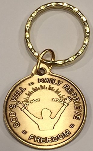 Gods Will = Daily Reprieve = Freedom AA Keychain Medallion Key Tag