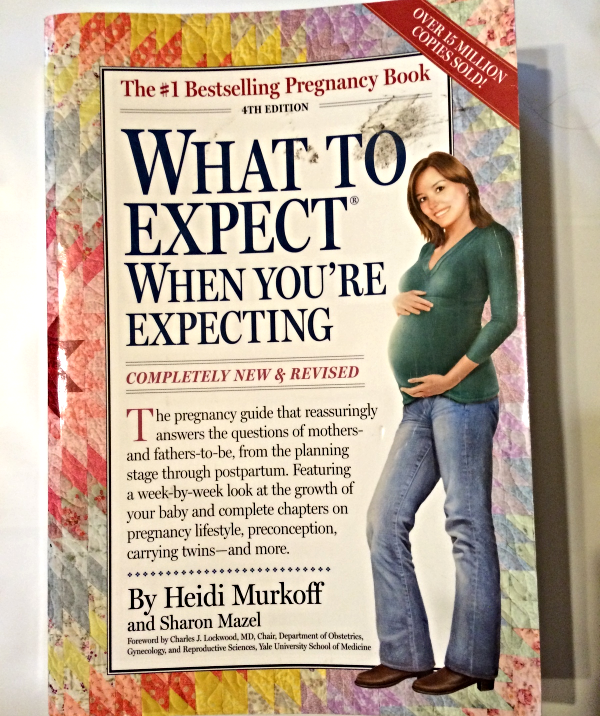 Bestselling Pregnancy Book What to Expect When You're Expecting - Other ...