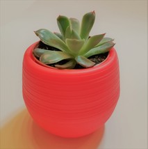 Colorful Succulent Planter, Self-Watering Pot for House Plants image 6