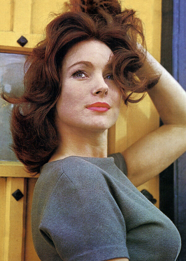 Shirley Anne Field 1963 Sexy Publicity Portrait Hand In Hair 5x7 Inch Photo Color 3696